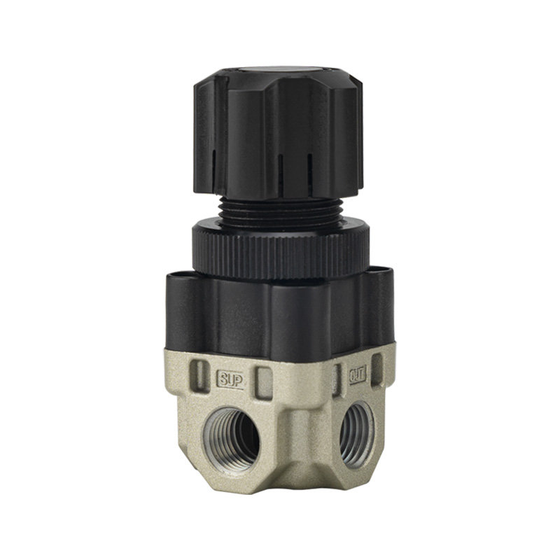 ARX Compact Regulator