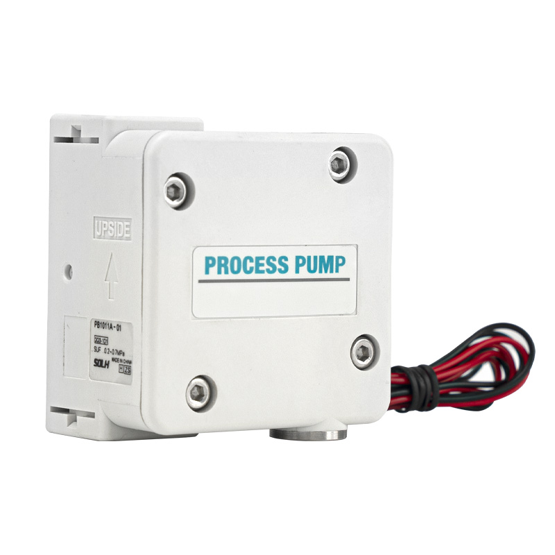 PB1011  Process Pump